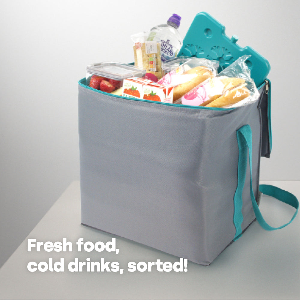 Livivo Large Thermal Cooler Bag 28l Picnic Beach Travel Grey