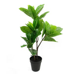 65cm Rubber Plant Artificial In Pot