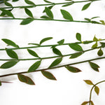 120cm Artificial Hanging String Of Pearls