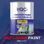 Anti Damp Paint - Damp Proof For Interior Walls & Ceilings | 1L | Mint Green