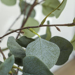 HOMCOM 2 Pack Artificial Plants, Faux Silk Eucalyptus Trees