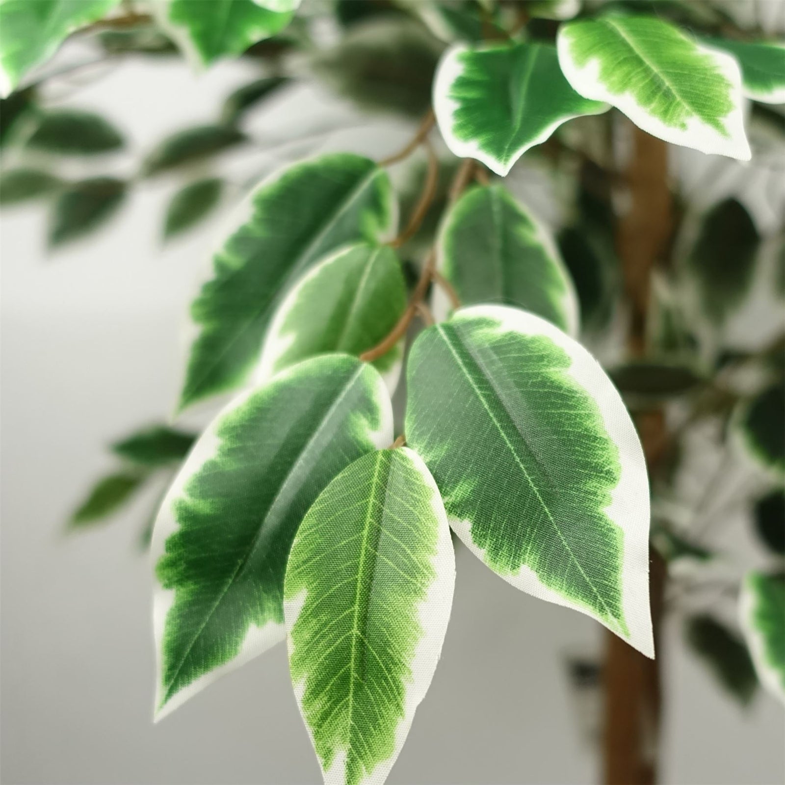 150cm Artificial Silk Ficus Tree