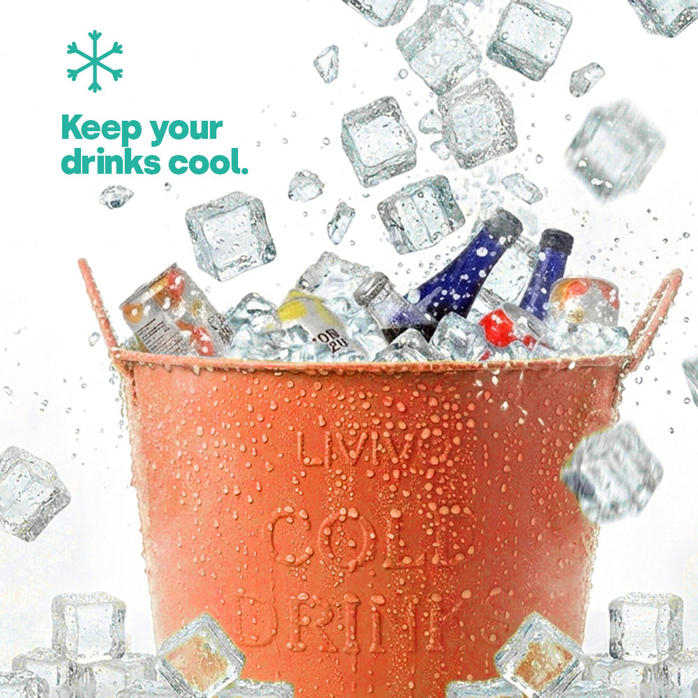 Galvanised Steel Drinks Bucket | Coral