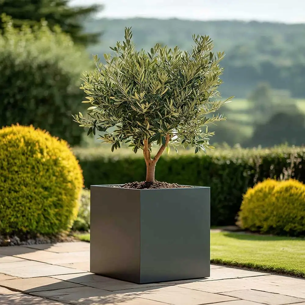 Zinc Galvanised Square Planter | 50cm x 50cm x 50cm | Grey