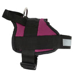 Reflective Dog Harness | Small | Purple
