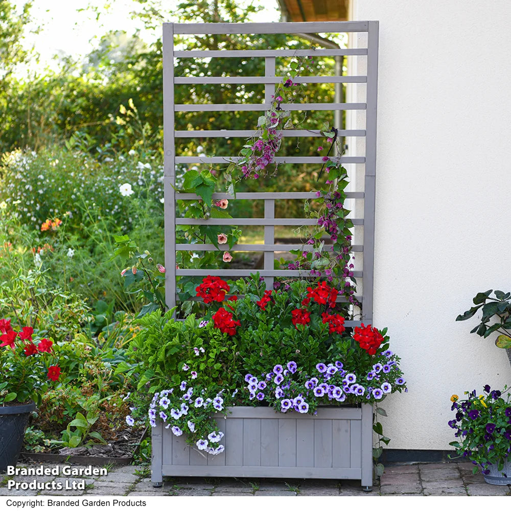 Garden_Gear Raised Wooden Planter With Climbing Trellis