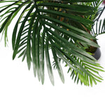 Leaf Design 150cm Extra Wide Areca Palm Artificial Tree