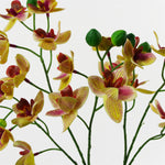Artificial 43cm Large Pink Yellow Orchid In Ceramic Planter