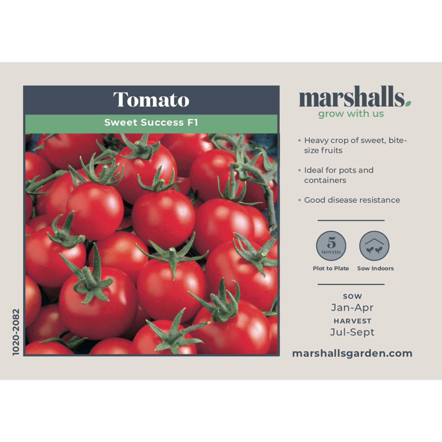 Sweet Success F1 Tomato Seeds Disease-resistant High-sugar Cherry | 10 Seeds