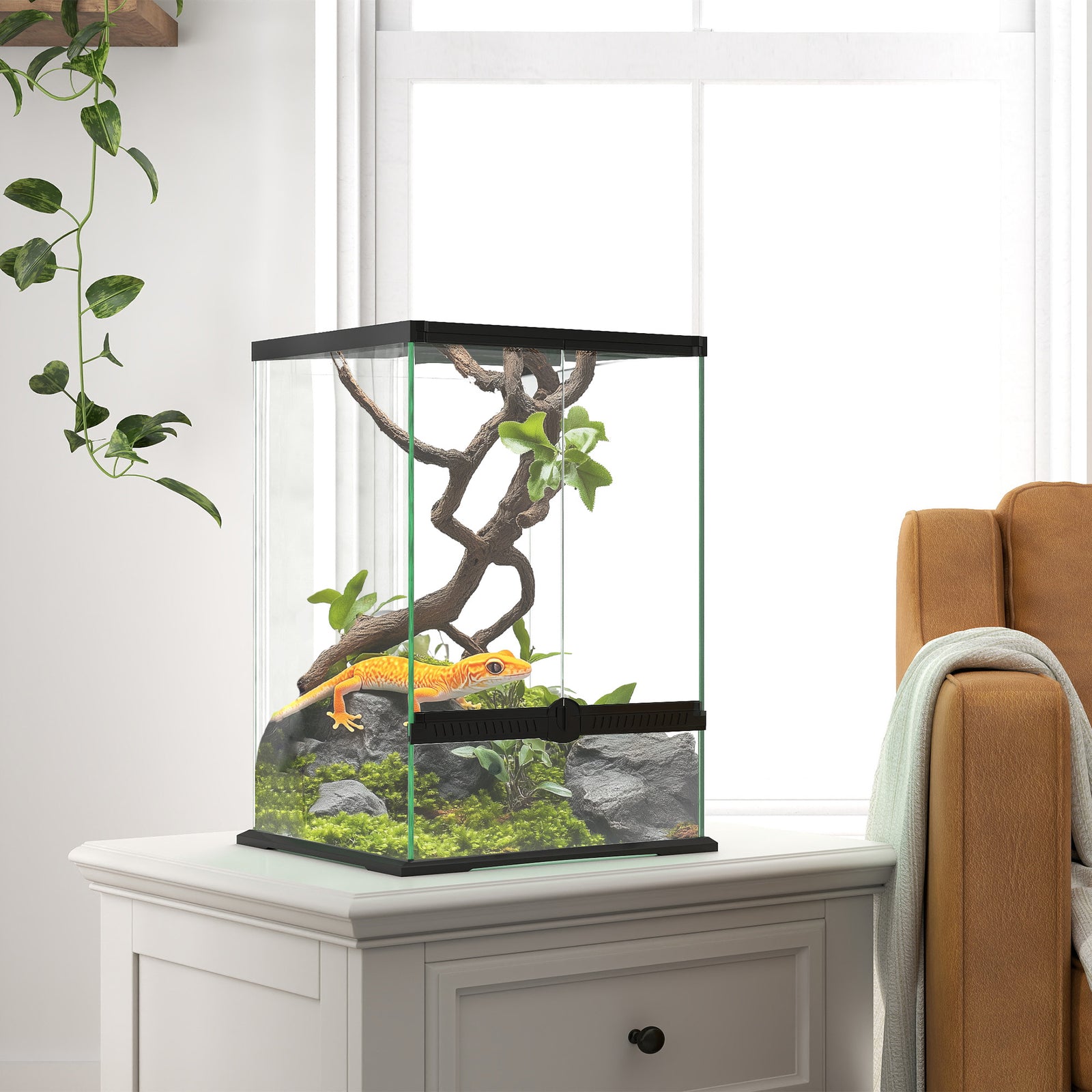 Glass Reptile Terrarium, Vivarium For Lizards, Frogs, Snakes, Turtles | Black