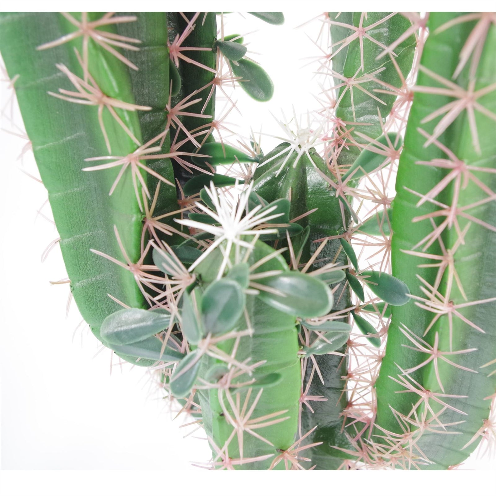 Leaf Artificial Cactus Cacti Plant Black Pot 65cm Plants