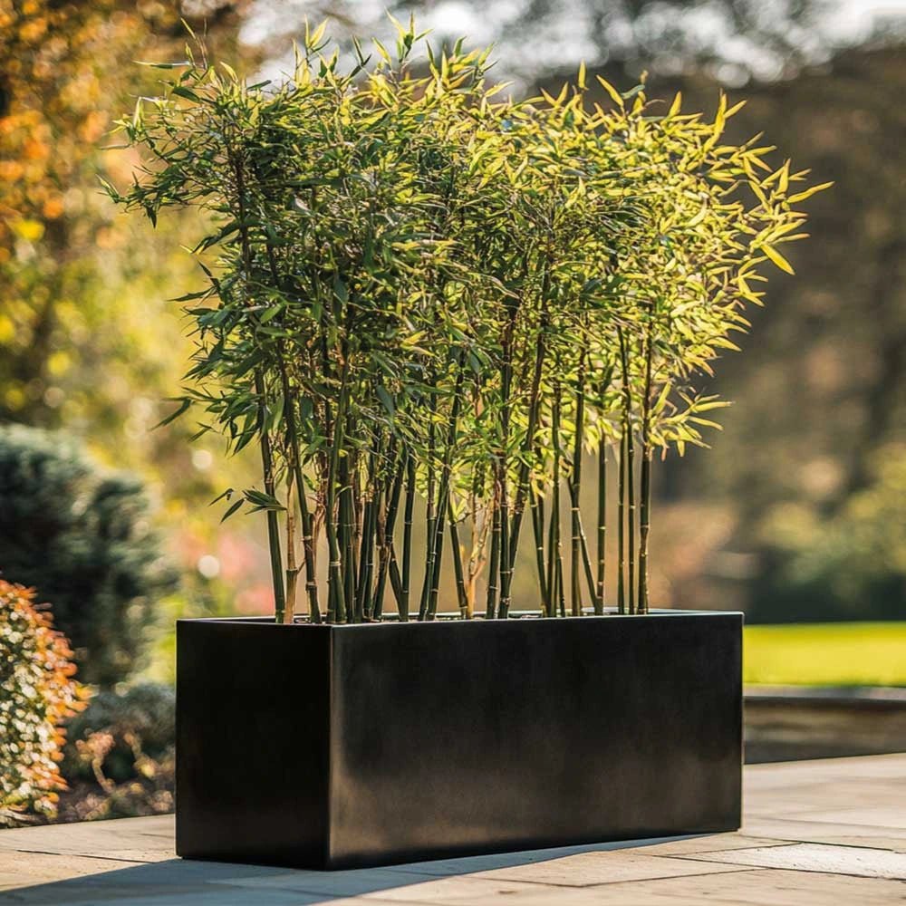 Zinc Galvanised Trough Planter | 100cm x 40cm x 40cm | Black Gloss