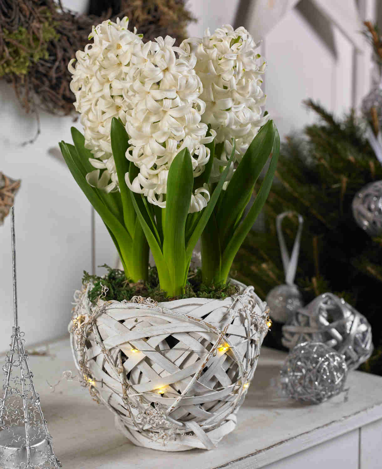 Illuminated White Basket Hyacinths - Christmas Gift | White