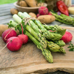 Asparagus Crown 'aspalim' (all-male Variety) | Set of 10 | Green