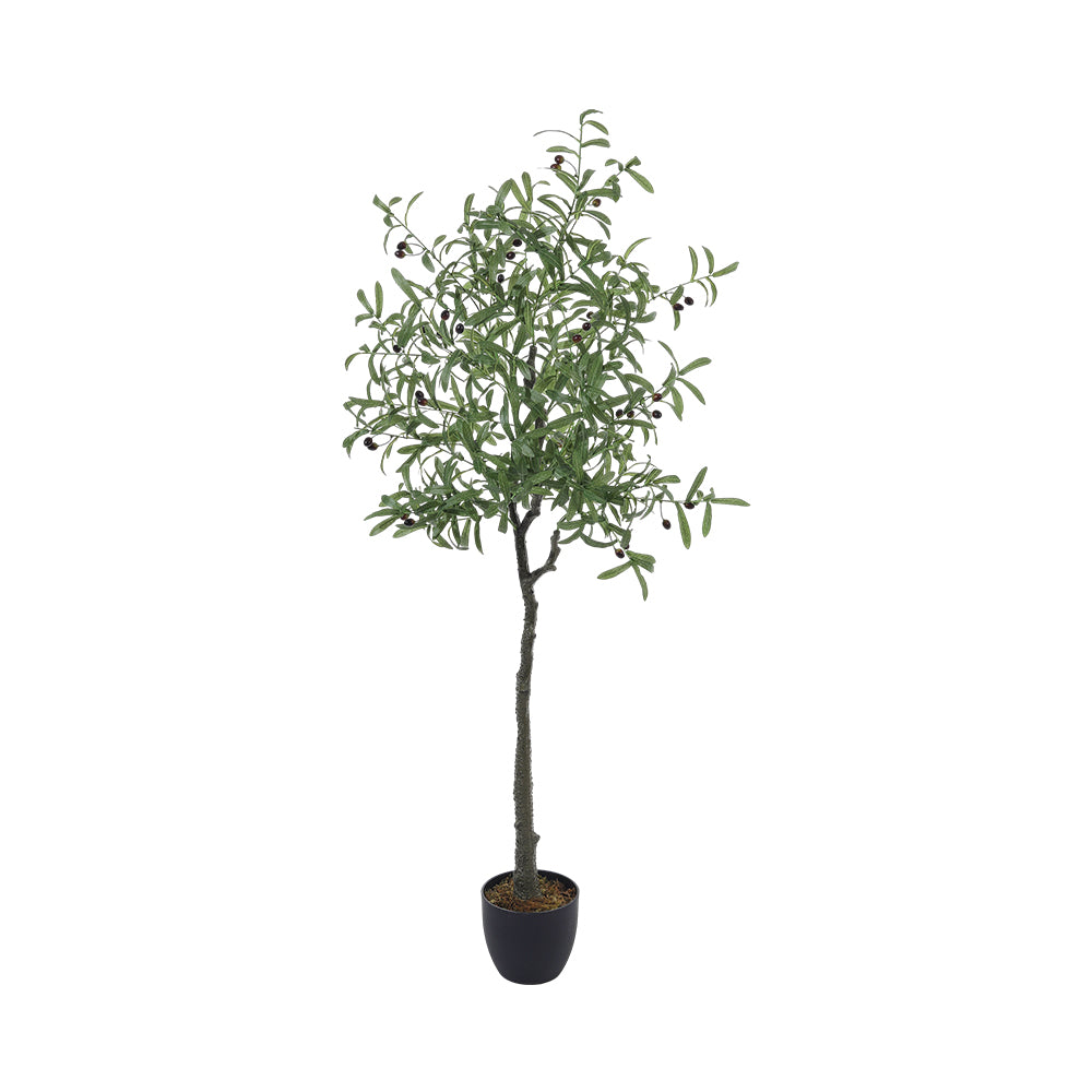 Artificial Olive Tree Decorative Plant In Planter | 170cm
