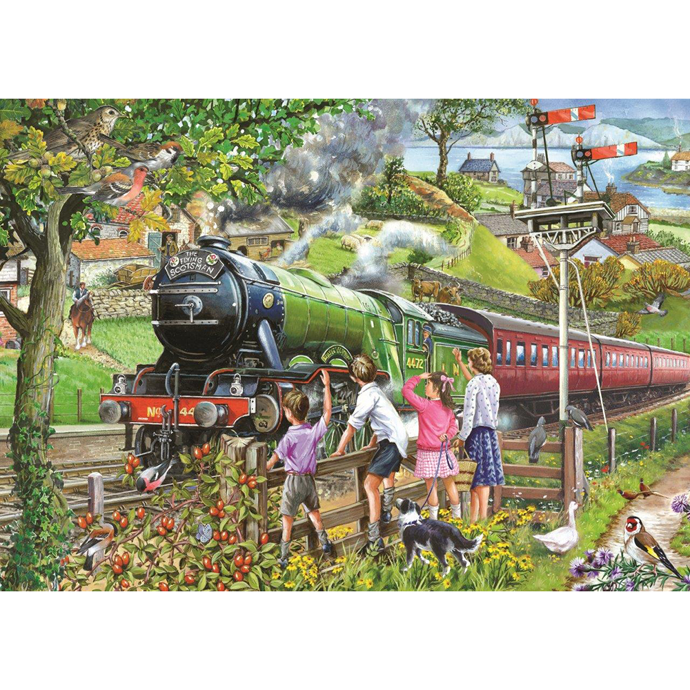 Full Steam Ahead - 1000 Piece Jigsaw Puzzle For Adults