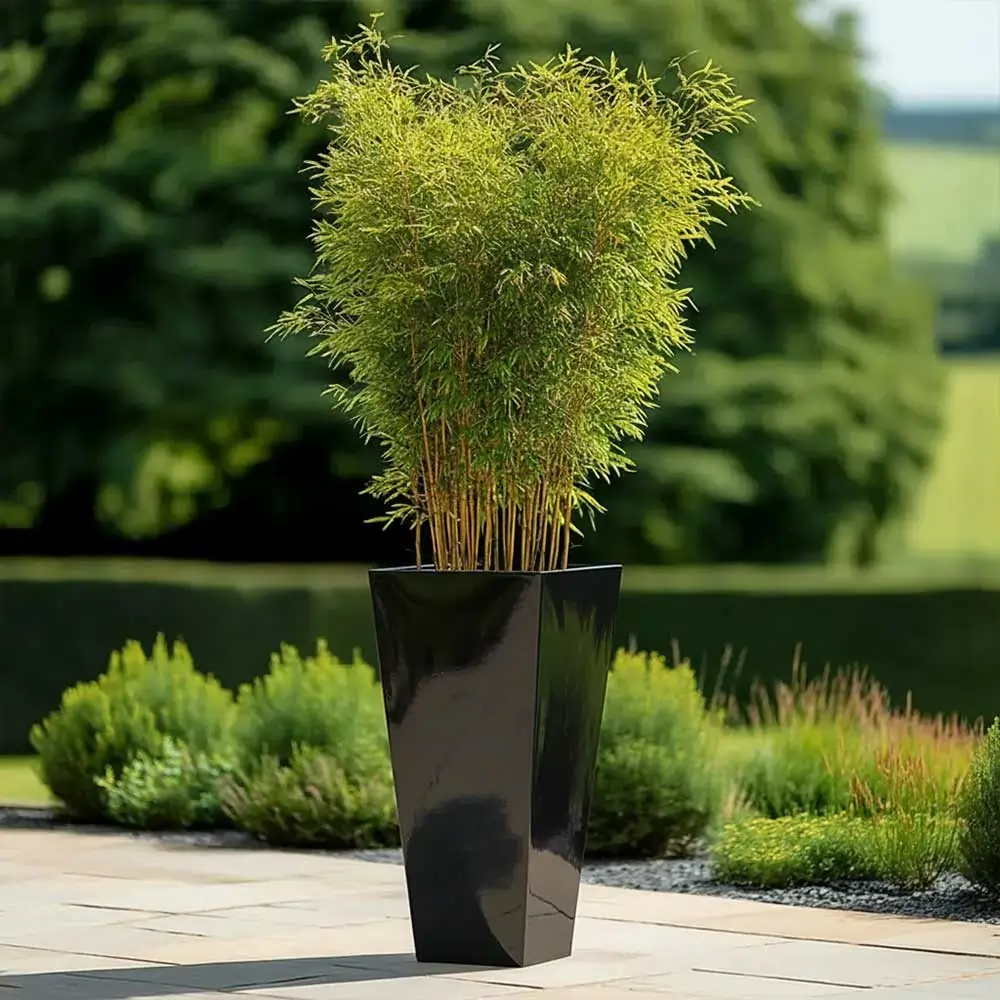 Zinc Galvanised Tall Flared Tapered Square Planter | 30cm x 30cm x 70cm | Glossy Black