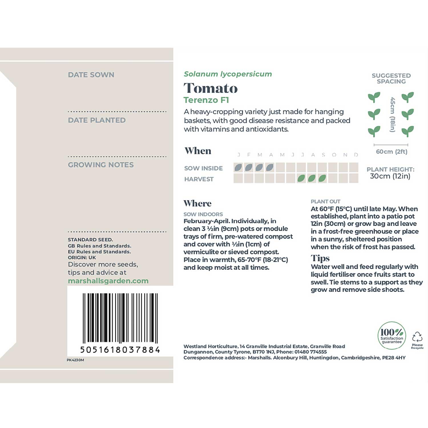 Tomato Seeds 'terenzo' F1 | 8 Seeds