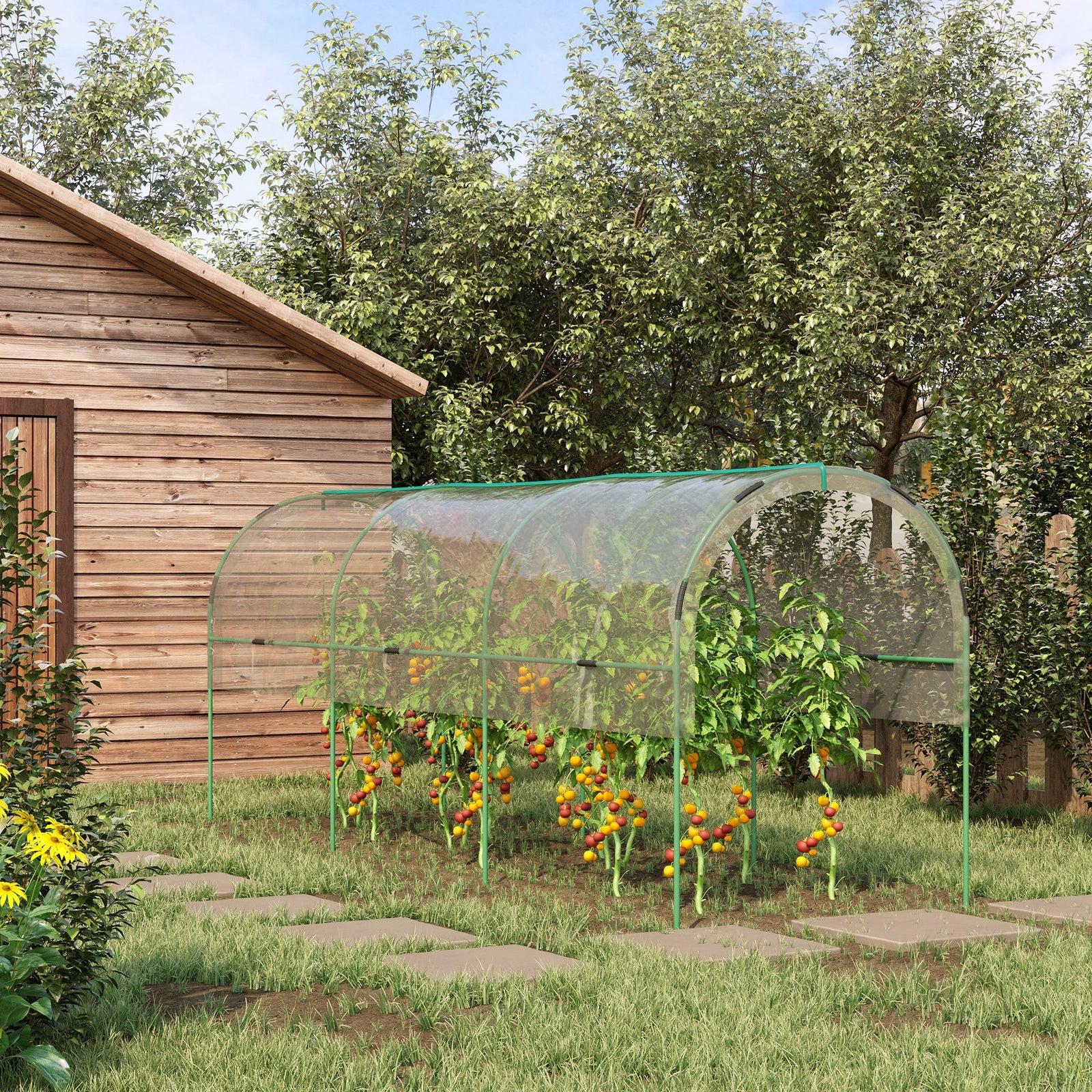 Tomato Greenhouse With Hoops, Stakes And Ropes