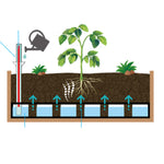 Medium Classic Self-watering Kit