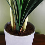 Artificial Amarylis  Plant Flowers Flowering Plant Pink Botanik