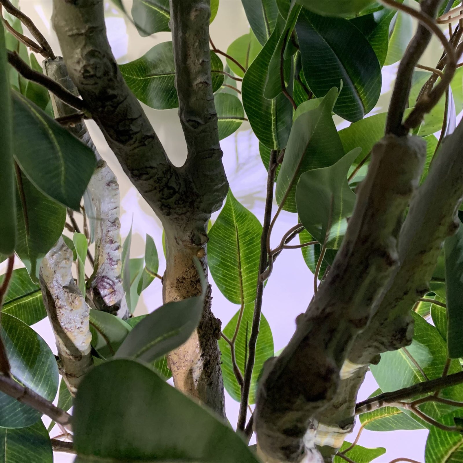 100cm  Realistic Artificial Ficus Tree / Plant Bush Ficus Silver Curve Planter