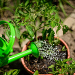 Children's Gardening Starter Pack, Green Bucket & Watering Can