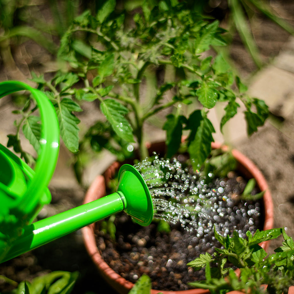 Children's Gardening Starter Pack, Green Bucket & Watering Can