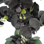 60cm Orchid Artificial Black Gold Ceramic Planter