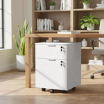 2 Drawer Filing Cabinet With Adjustable Hanging Bars For A4 And Letter | White