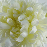 Pack Of 6 X 75cm Artificial Extra Large Reflex Chrysanthemum White