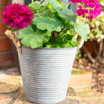 Hayloft Zinc Ribbed Planter - Set Of 4 Planters With Hesssian Handles