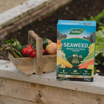 Seaweed Enhanced Plant Food - Organic Growth Stimulant | 2.5kg
