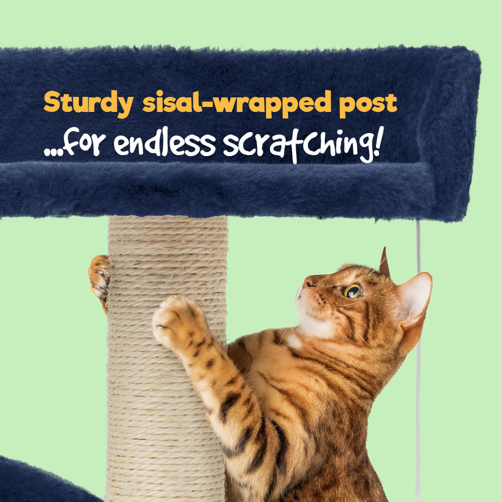 Cat Bed With Sisal Scratch Post Navy Carpeted Pet Resting Bed | One Size | Navy Blue