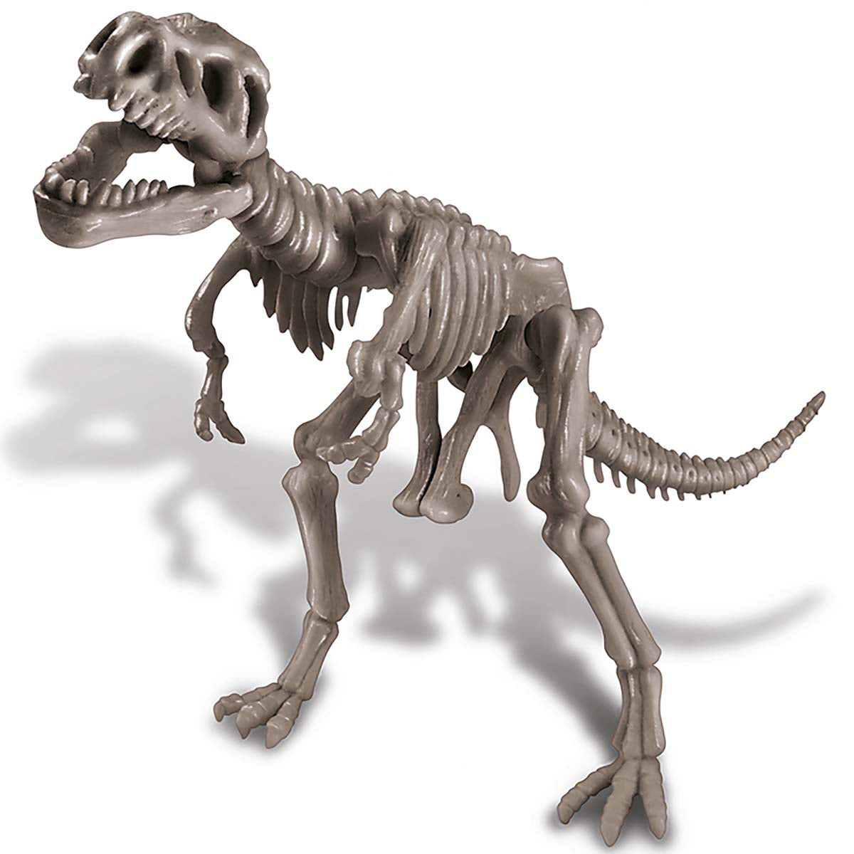 4M Kidzlabs - Dig A Dinosaur Skeleton - Tyrannosaurus Rex