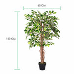 Artificial Handcrafted Ficus Tree With Real Wood Trunk | 4ft | Multi Colour