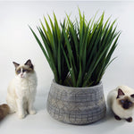 X 37cm Large Grey Gliese Embossed Planter 22cm