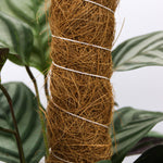 Grow Pole | 140cm