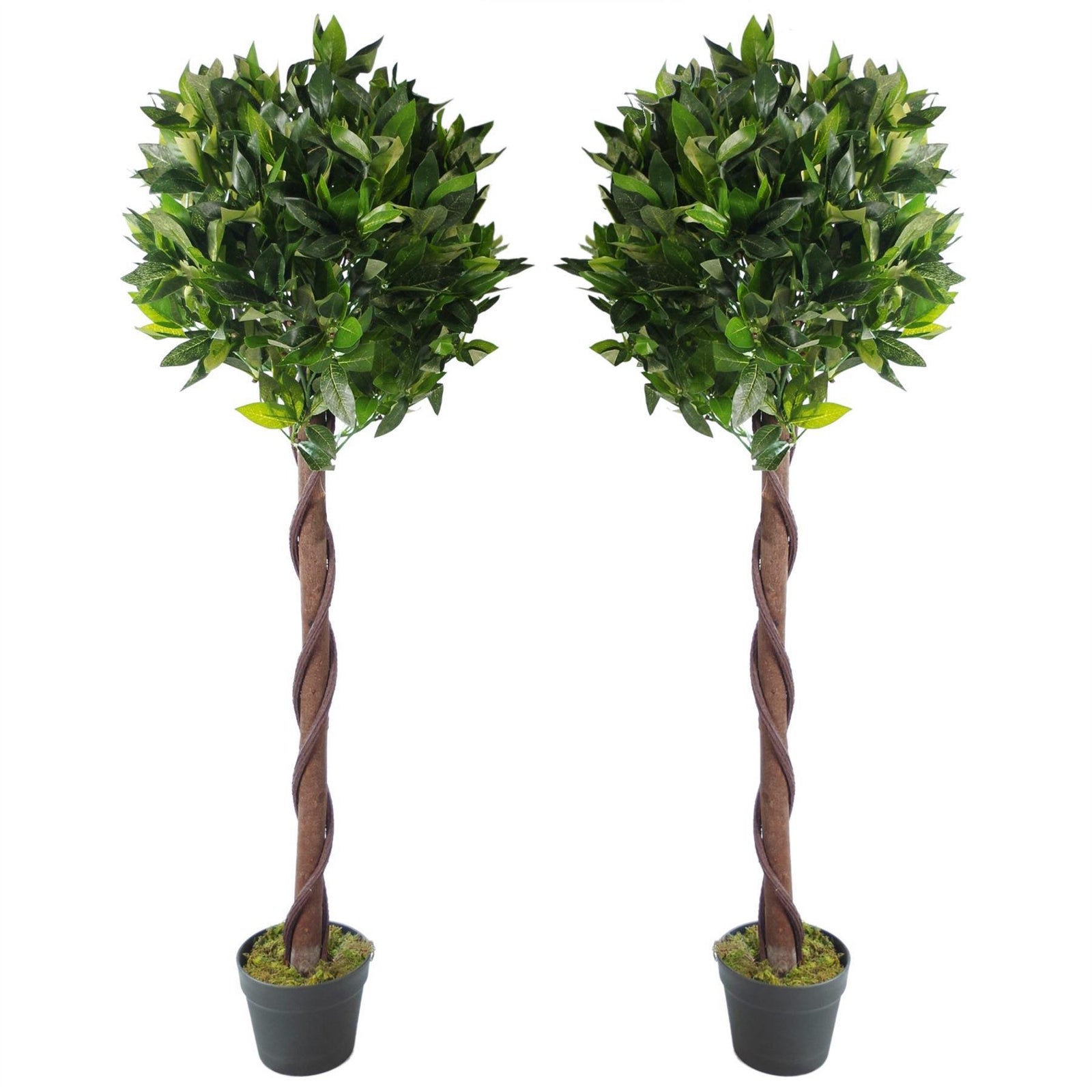Pair Of 120cm Laurel Ball Twisted Stem Artificial Topiary Bay Trees