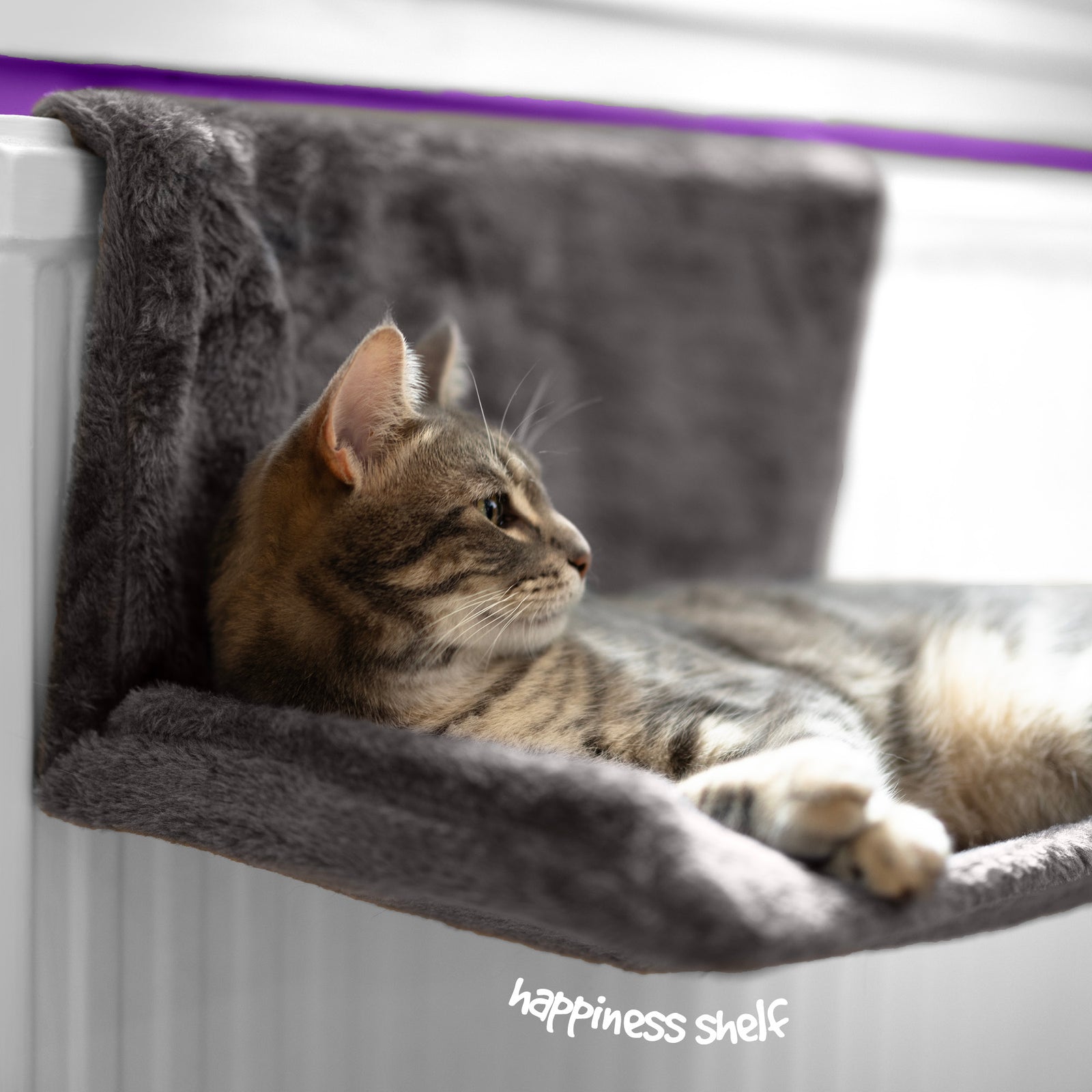 Petlicity Grey Radiator Cat Bed With Removable Faux Fur Cover And Frame