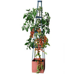 Self Watering 4 Tier Tomato Tower Jumbo Fruit & Vegetable Vine Plant, Support Grower, 1.5m Weatherproof Tower Garden Planter | Set-of-5