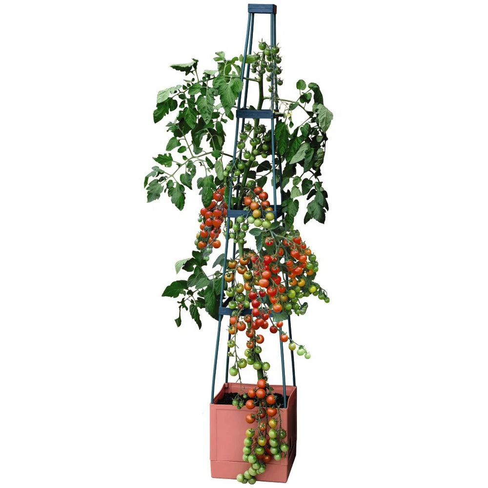 Self Watering 4 Tier Tomato Tower Jumbo Fruit & Vegetable Vine Plant, Support Grower, 1.5m Weatherproof Tower Garden Planter | Set-of-5