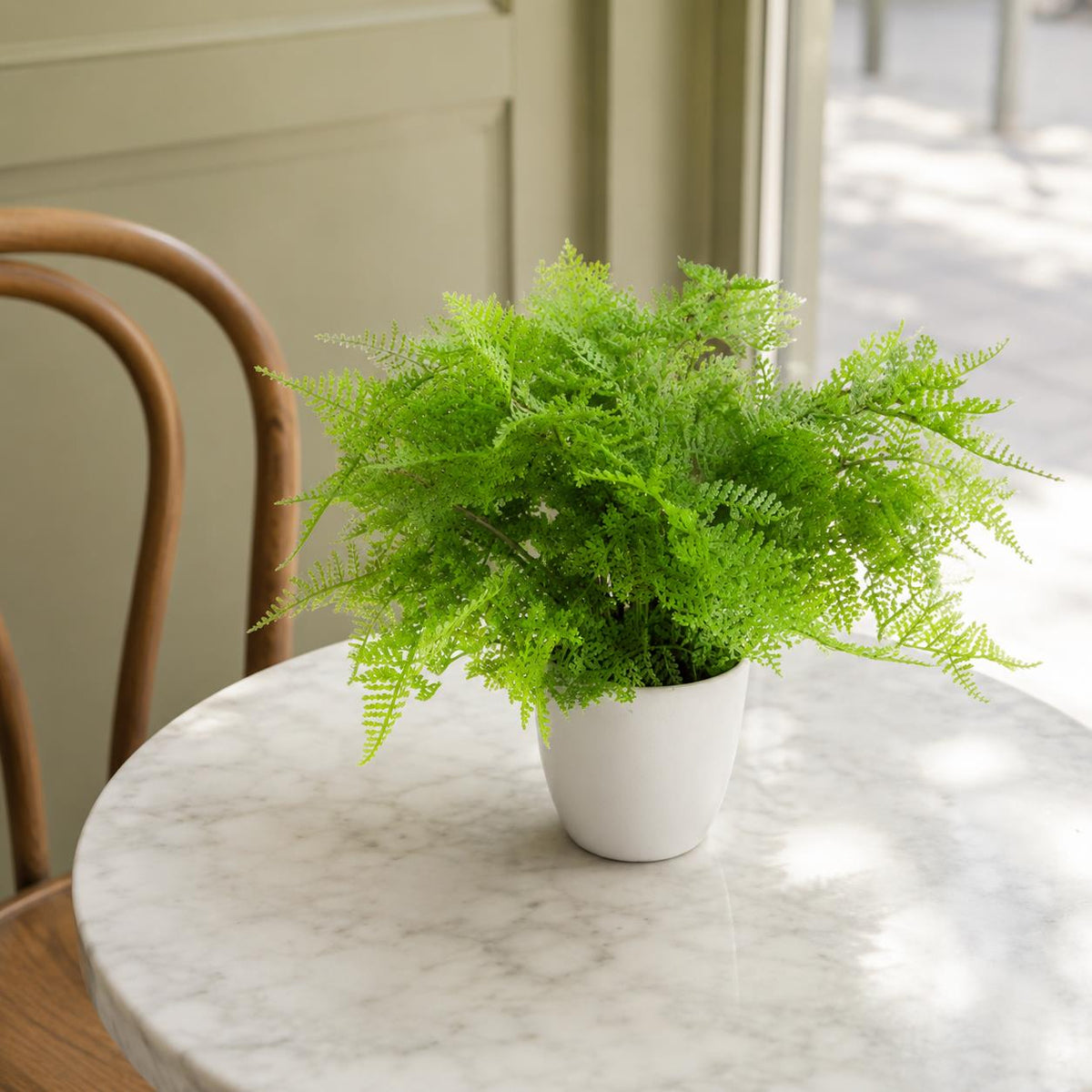Artificial 30cm Potted Lady Fern