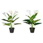 Artificial 55cm Calla Lily Flower Set Of 2 For Indoor Decor