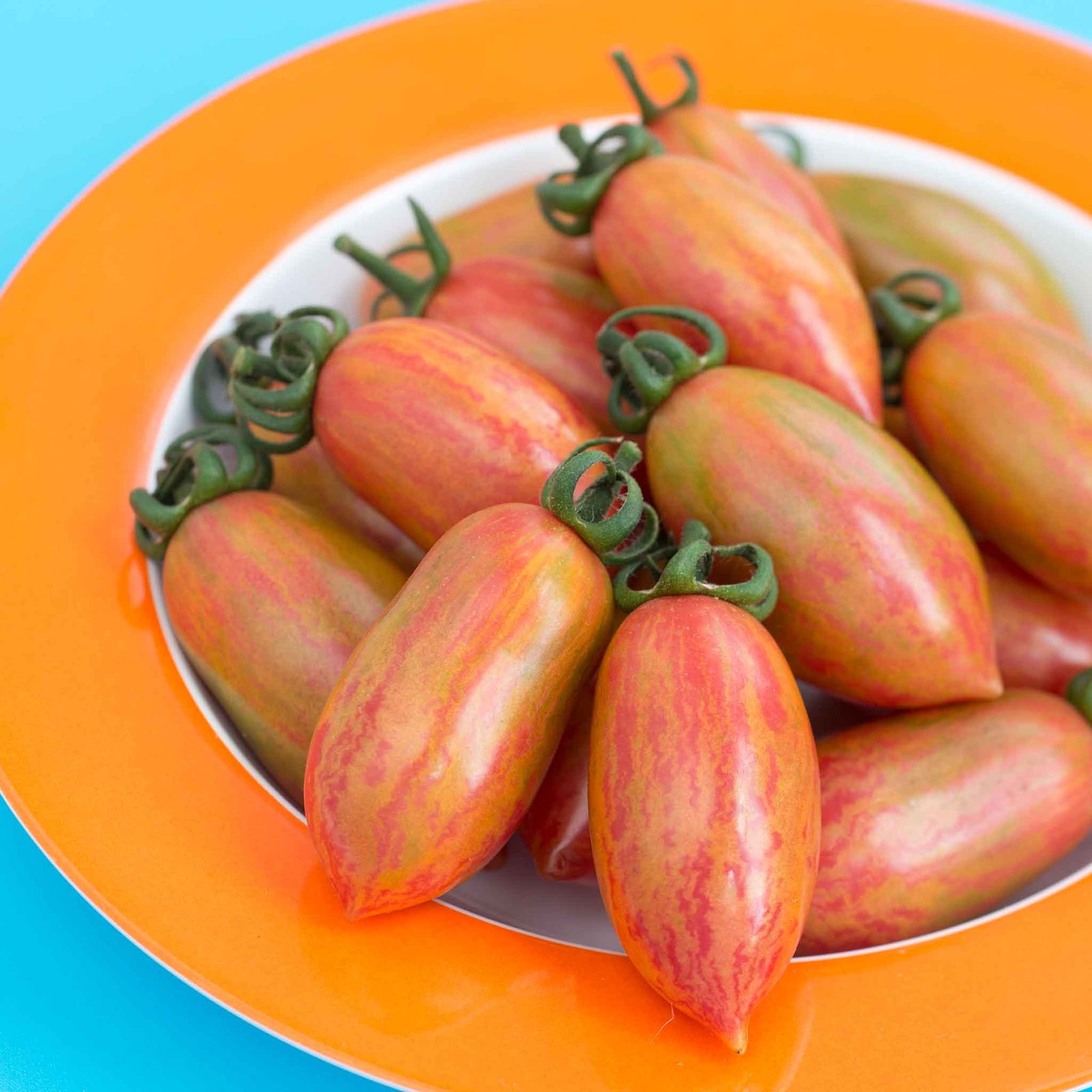 Pink Tiger Tomato — Striped Plum Tomatoes Seeds | 10 Seeds