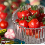 Thompson & Morgan Tomato Meltaway F1 9cm Pot X 3 Plants