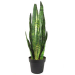Artificial Sansevieria Zeylanica Plant 70cm