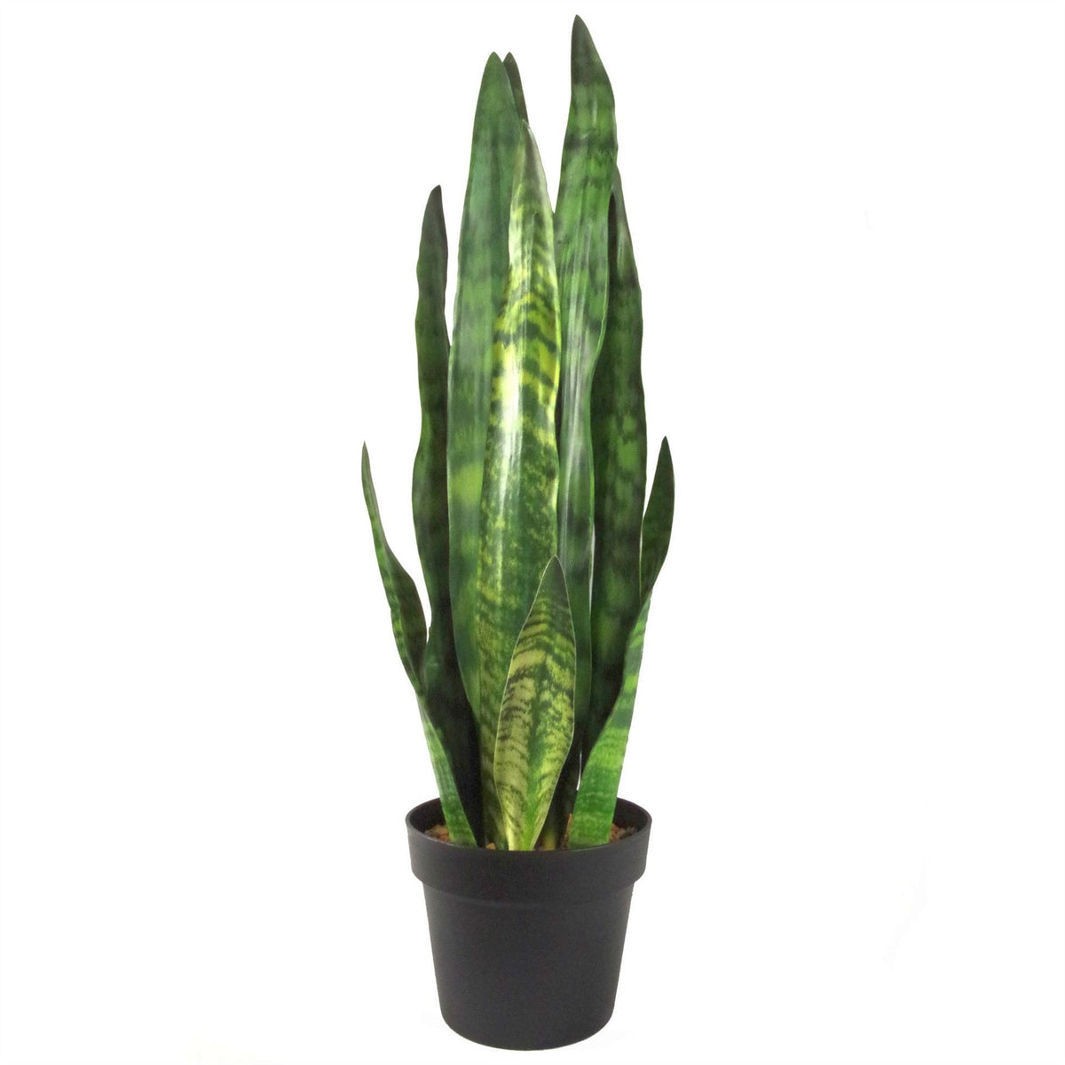 Artificial Sansevieria Zeylanica Plant 70cm