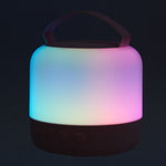 Portable Wireless Rgb Light Karaoke Speaker With 2 Microphones | Pink