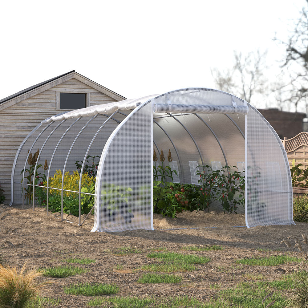 Outdoor Walk-in Tunnel Greenhouse With Heavy Duty Steel Frame & Roll-up Door | 6 x 3 x 2m | White